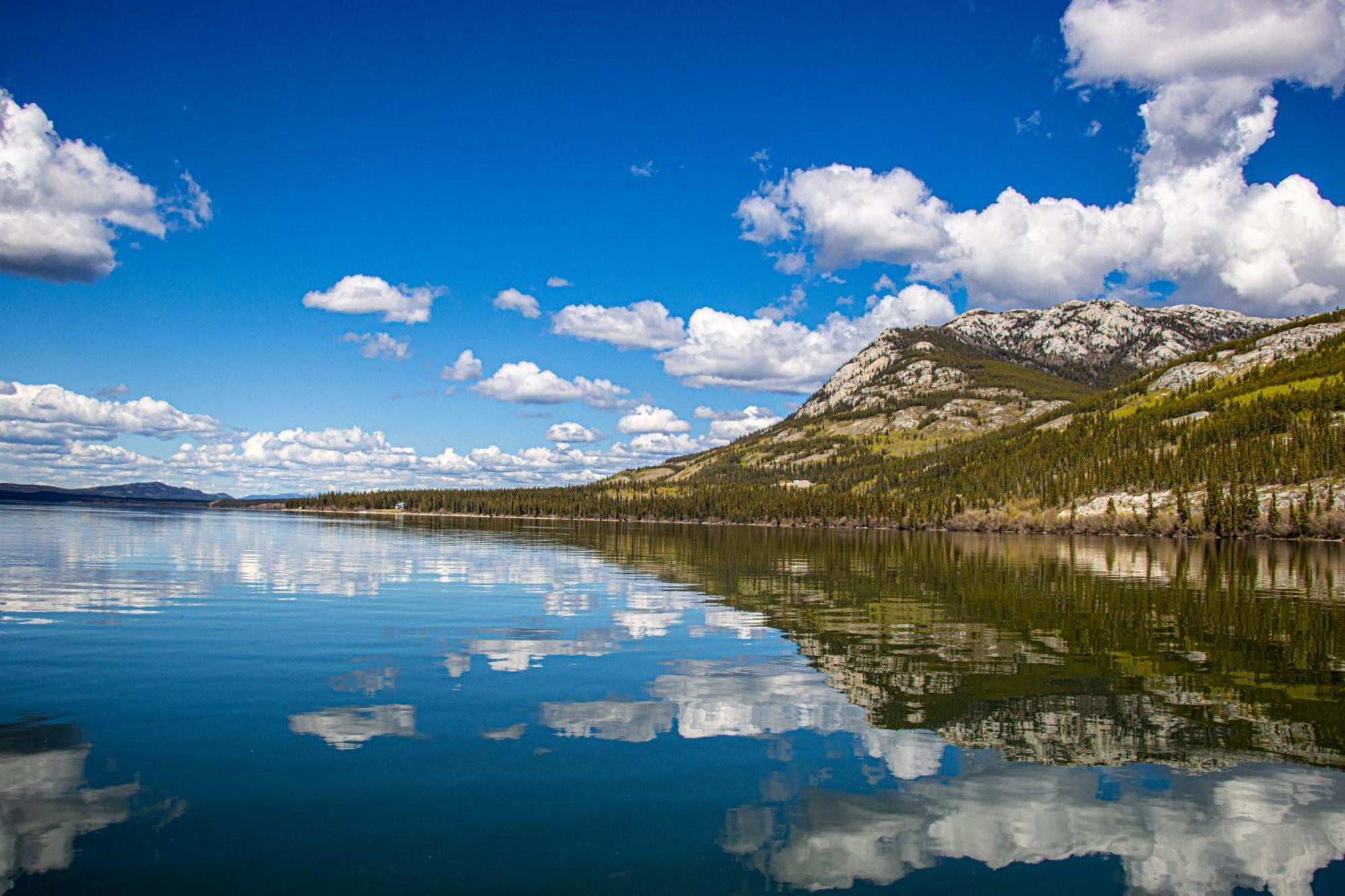 Little Atlin Lodge Tagish Ngoại thất bức ảnh