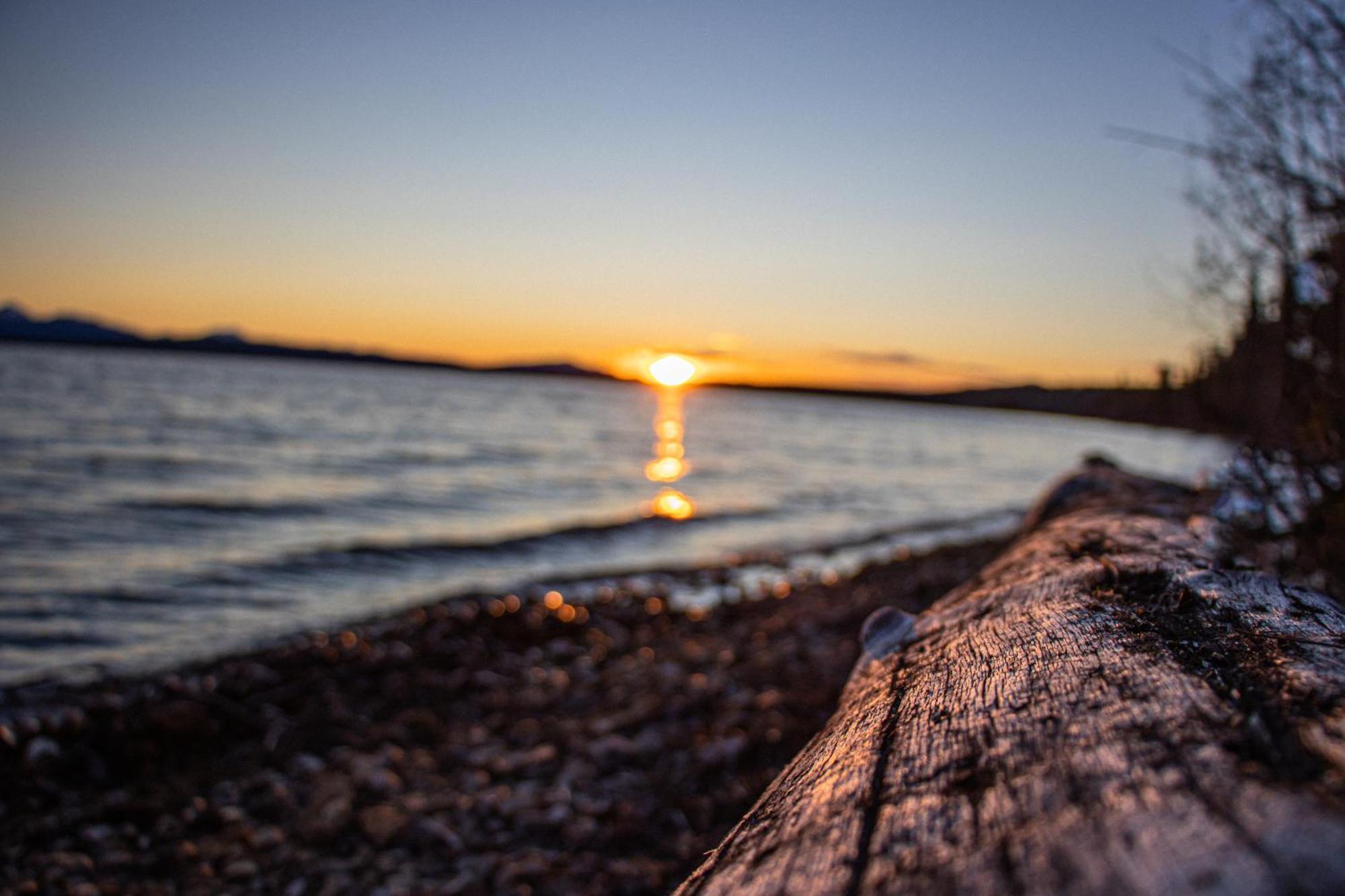 Little Atlin Lodge Tagish Ngoại thất bức ảnh