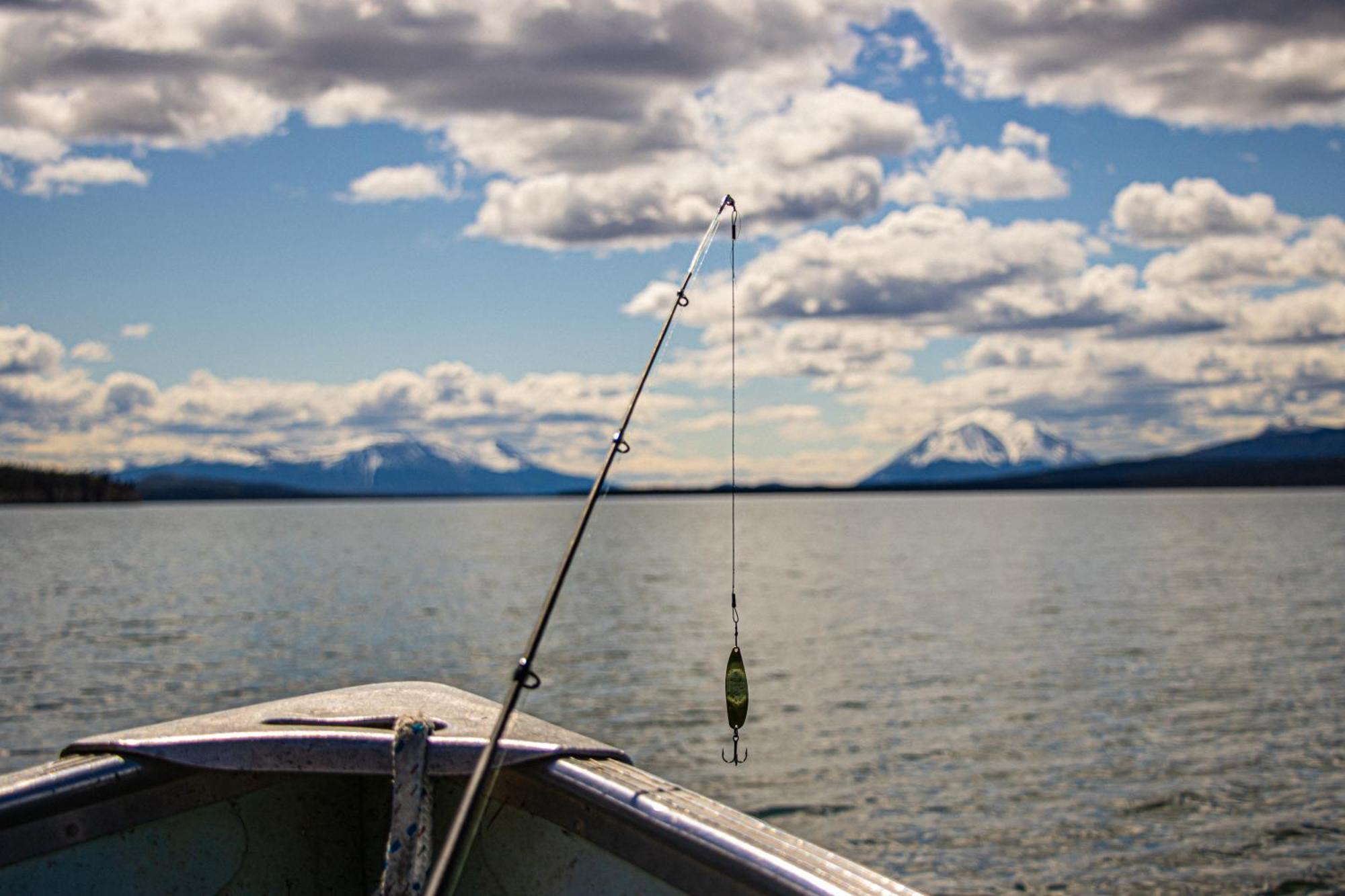 Little Atlin Lodge Tagish Ngoại thất bức ảnh