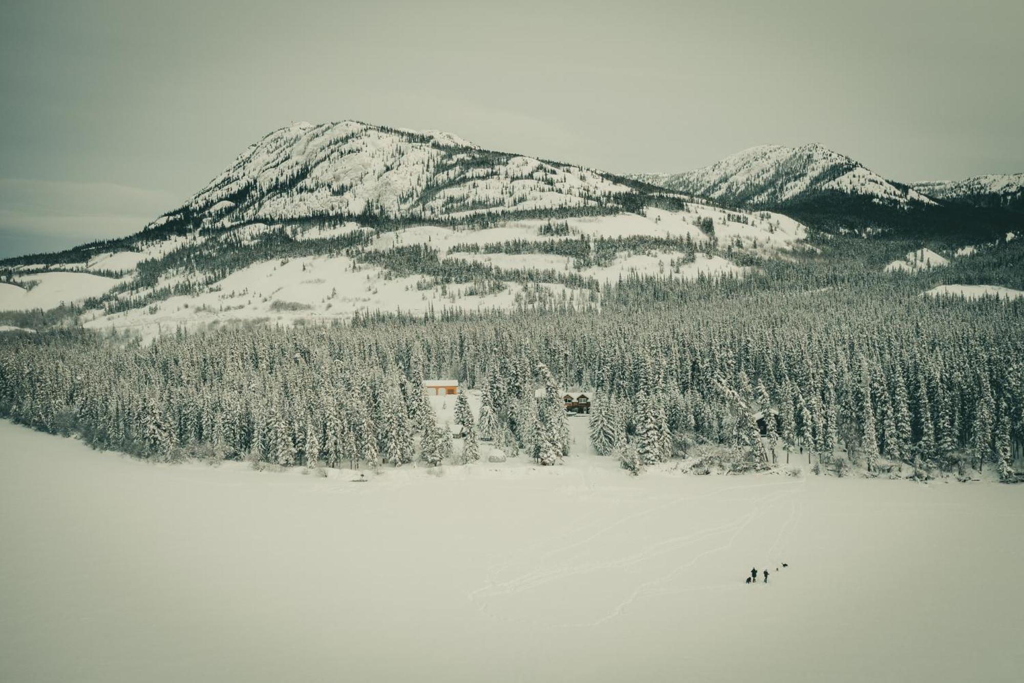 Little Atlin Lodge Tagish Ngoại thất bức ảnh