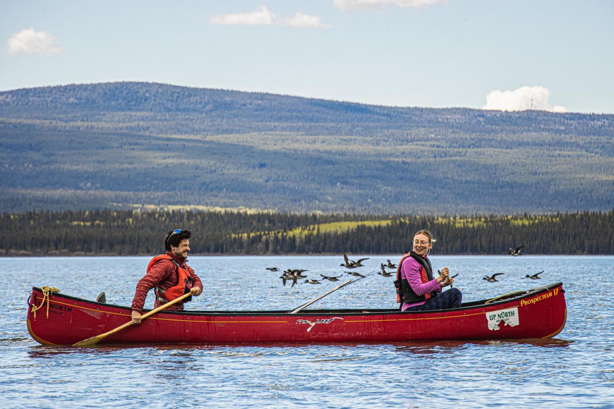 Little Atlin Lodge Tagish Ngoại thất bức ảnh