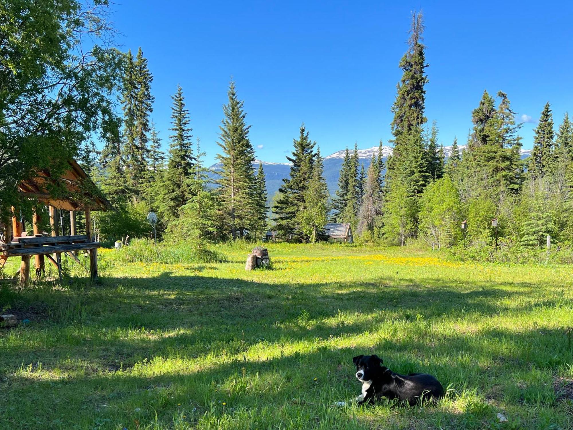 Little Atlin Lodge Tagish Ngoại thất bức ảnh